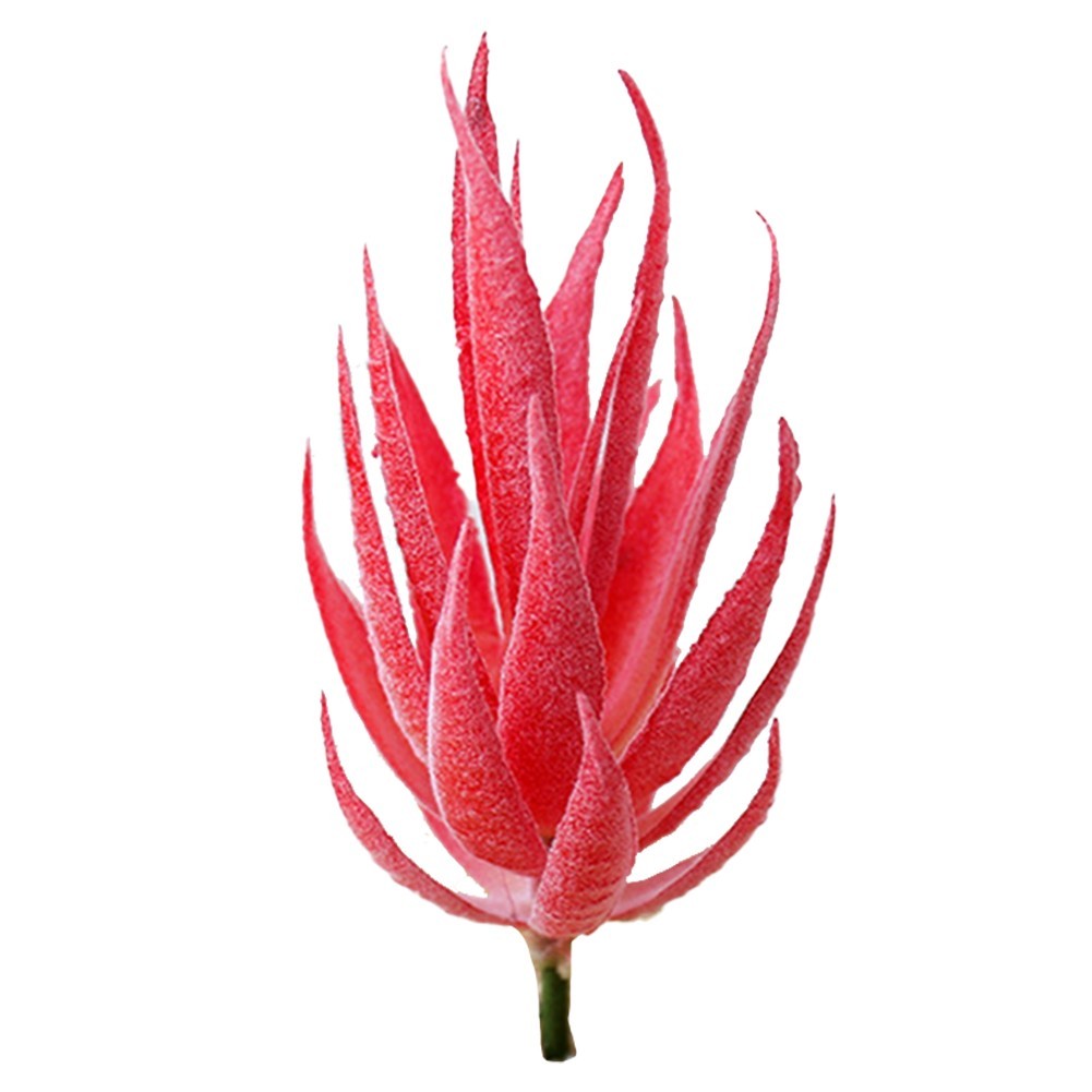 Fresh and Vibrant Artificial Aloe Plant Realistic Simulation Fake Flower