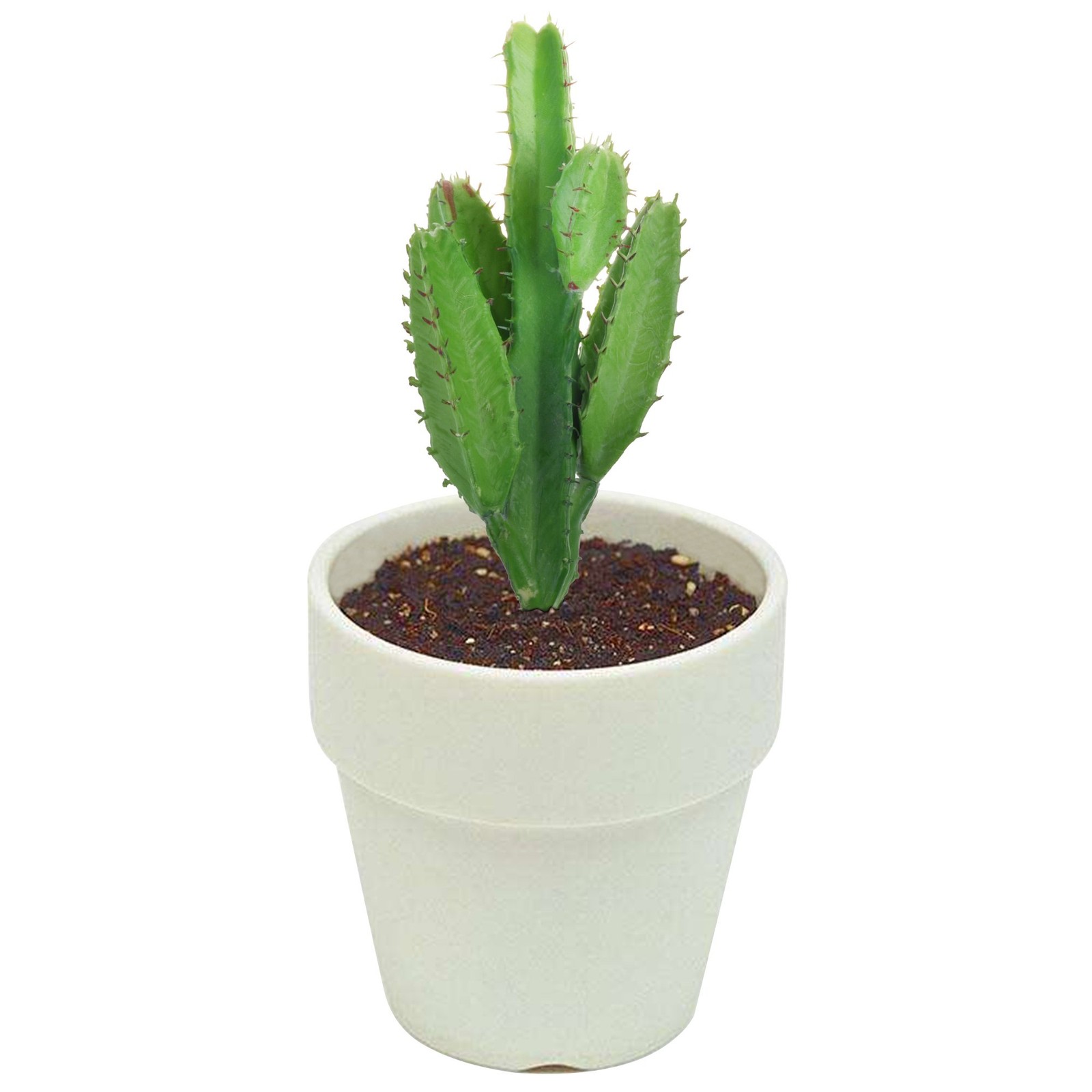 Bluecell 2pcs Real Looking Artificial Cactus Plant DIY Material for Home Deco…
