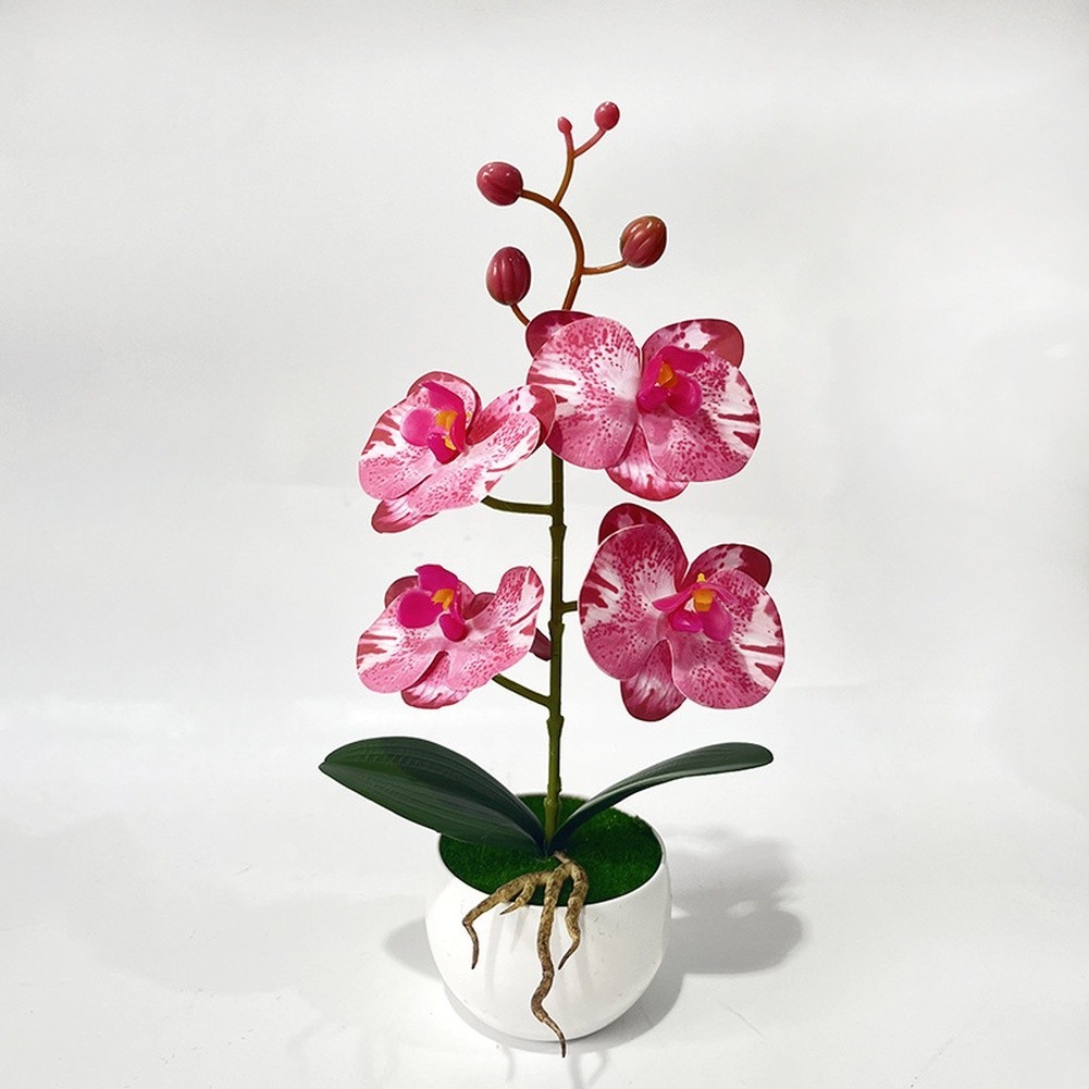 Artificial Phalaenopsis Orchid Potted Plant 12in White Purple Pink Orange