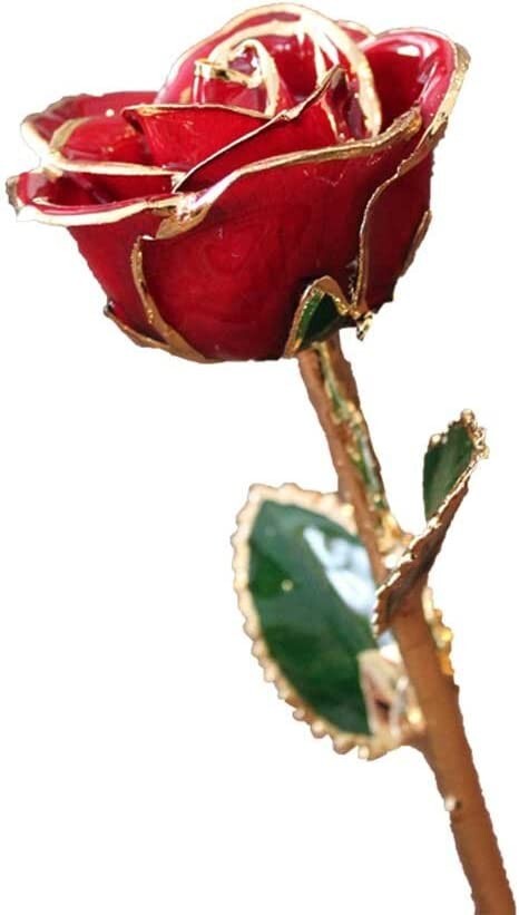 Genuine 24K Gold Red Rose
