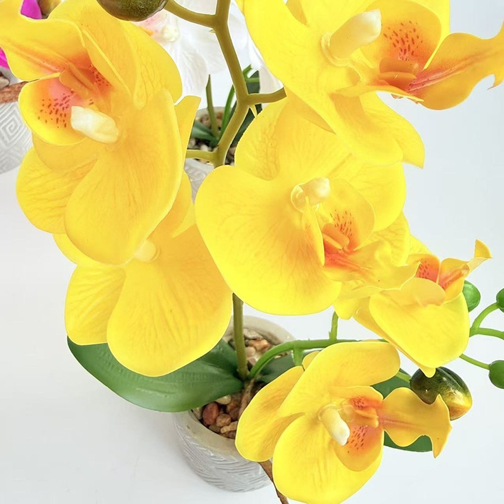 Fake Orchid Flower Plant in Cement Pot for Contemporary For Home Decoration