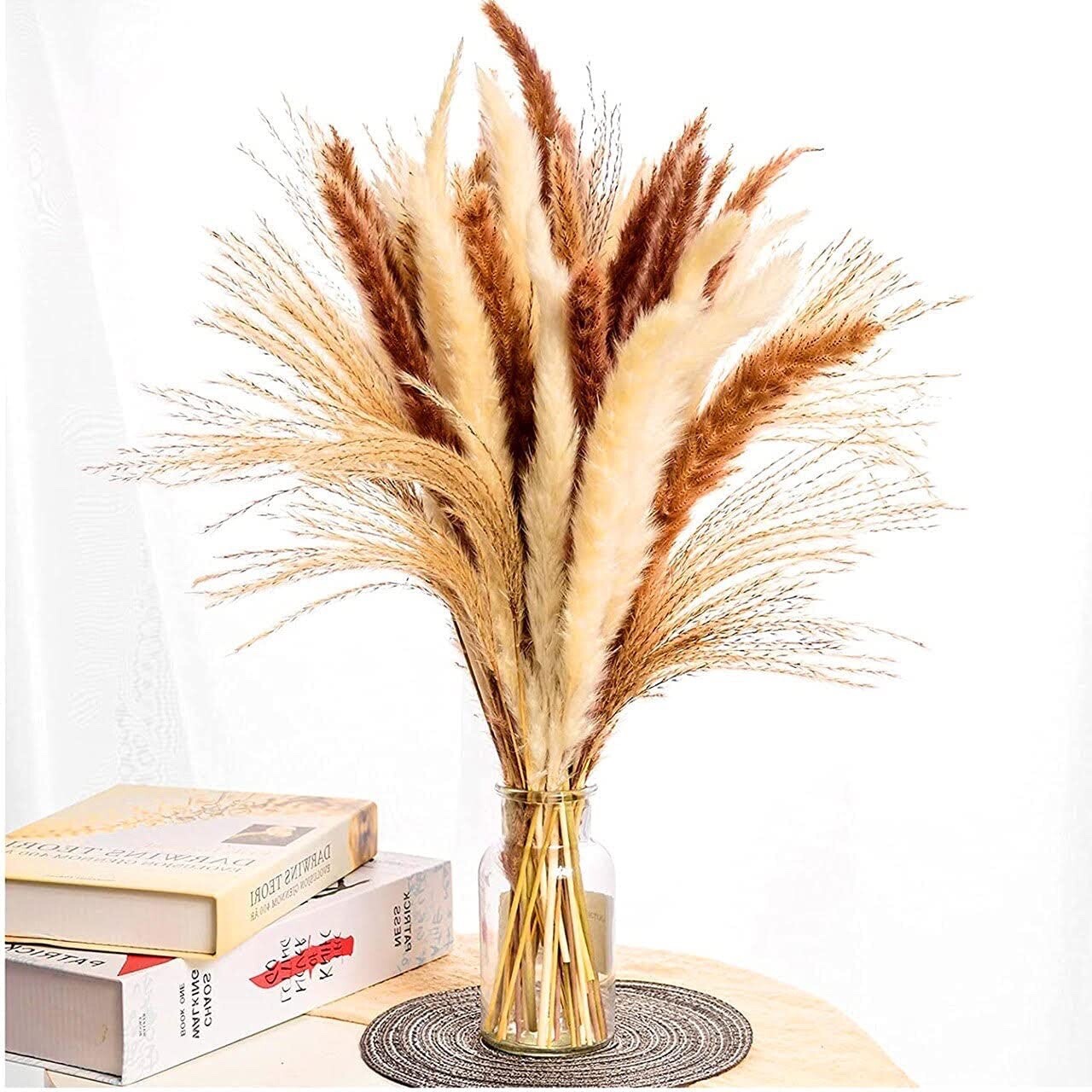 Green Empire 60pcs (15pcs Brown Pampas & 15pcs White Pampas 30pcs Reed Grass)