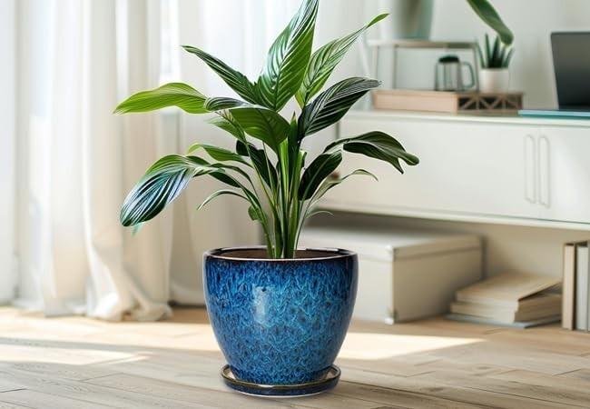 10 Inch Ceramic Planter Pot Round Plant Pot for Indoor Plants Outdoor Large F…
