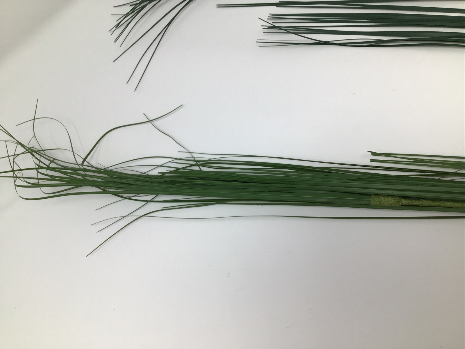 Onion Grass Floral Pick 34” Vase Basket Filler 2 Picks Vintage