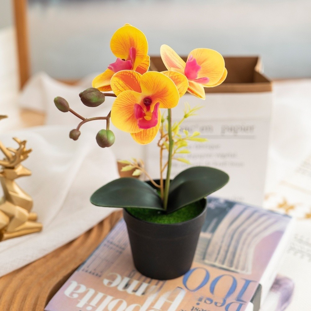 Silk Phalaenopsis Orchid Potted Plant 26cm for Contemporary Home Office