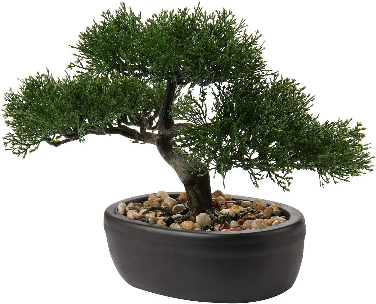 Indoor Mini Bonsai Tree with Ceramic Pot^-“
