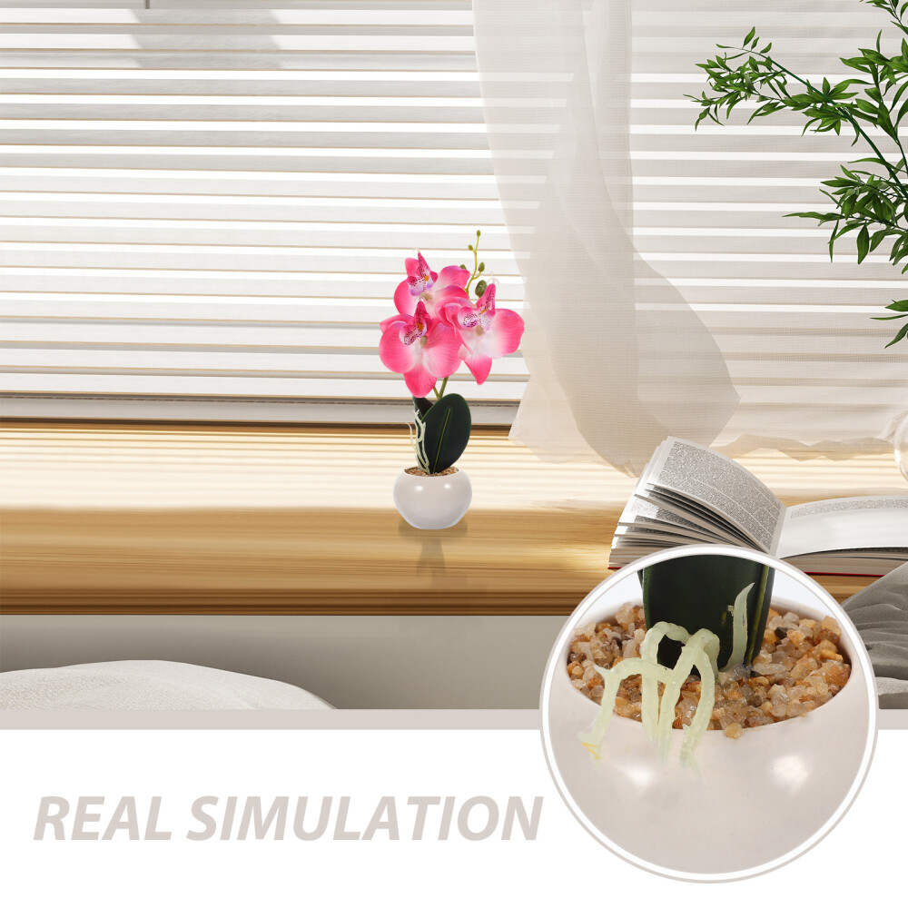Phalaenopsis Bonsai Prop Simulation Phalaenopsis Plant Fake Phalaenopsis Decor