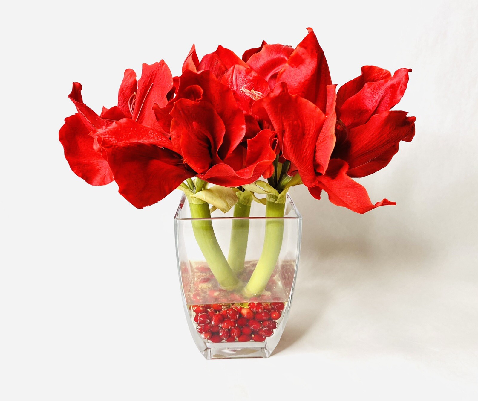 Red Amaryllis Artificial Flower Arrangement Square Glass Vase Water 15” Tall