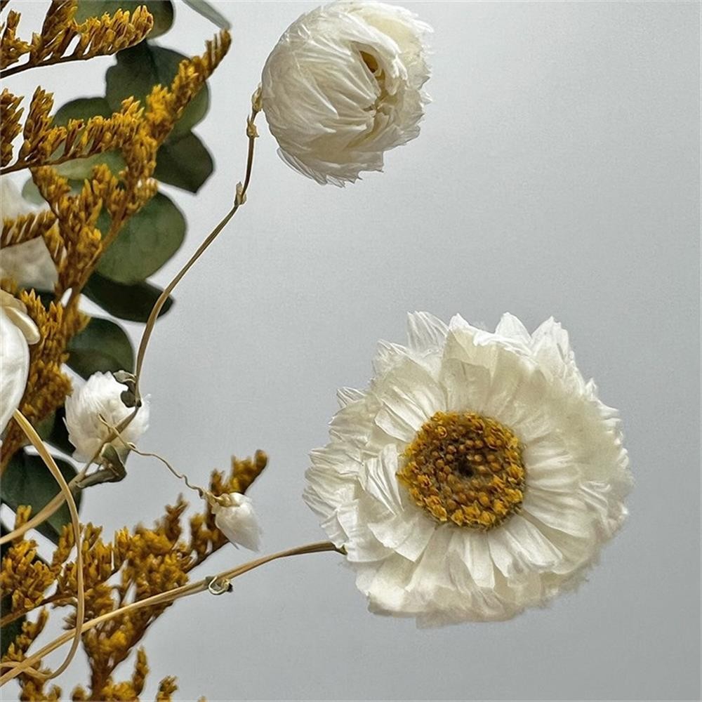 Pemberly Row 10-inch High Real Preserved Mixed Bouquets in Small Size