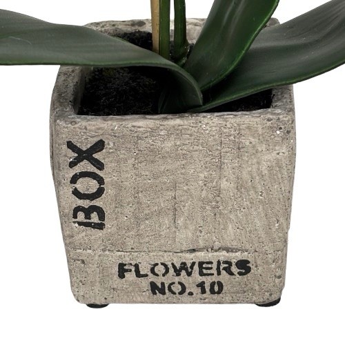 Potted Orchid Plant Faux Phalaenopsis Flowers Realistic Home Decor in Stone Pot