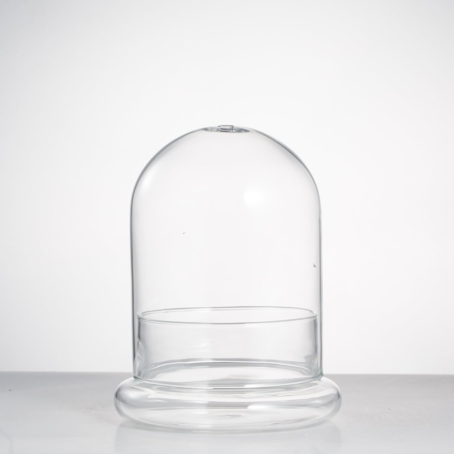 Chic Clear Glass Terrarium Cloche with Base – Ideal for Succulents or Displays