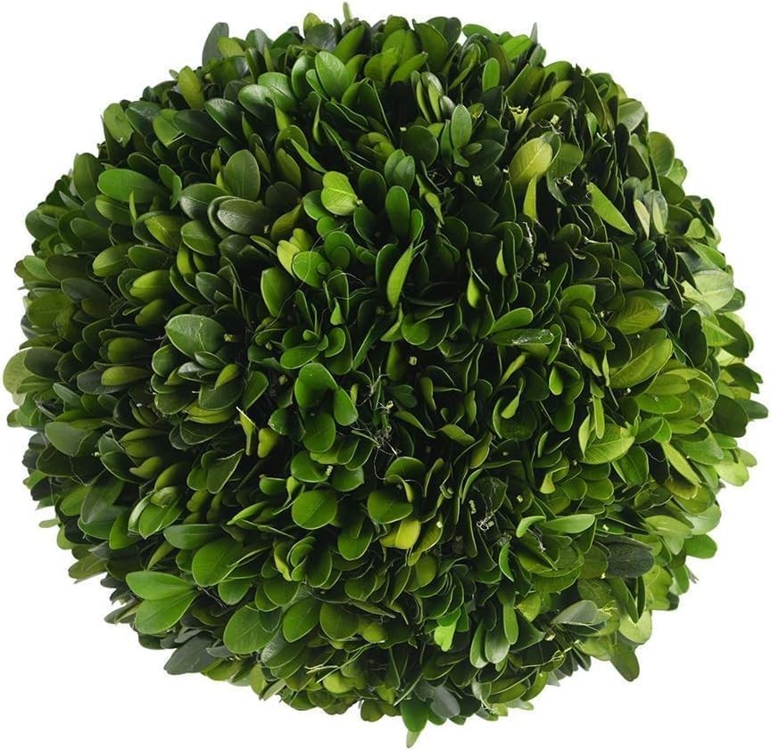 Elegant 8-Inch Preserved Boxwood Decorative Ball for Centerpieces & Bowls