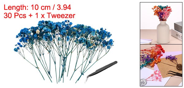 30Pcs Dried Gypsophila Flower 4″ Dark Blue Pressed Flowers with Tweezer