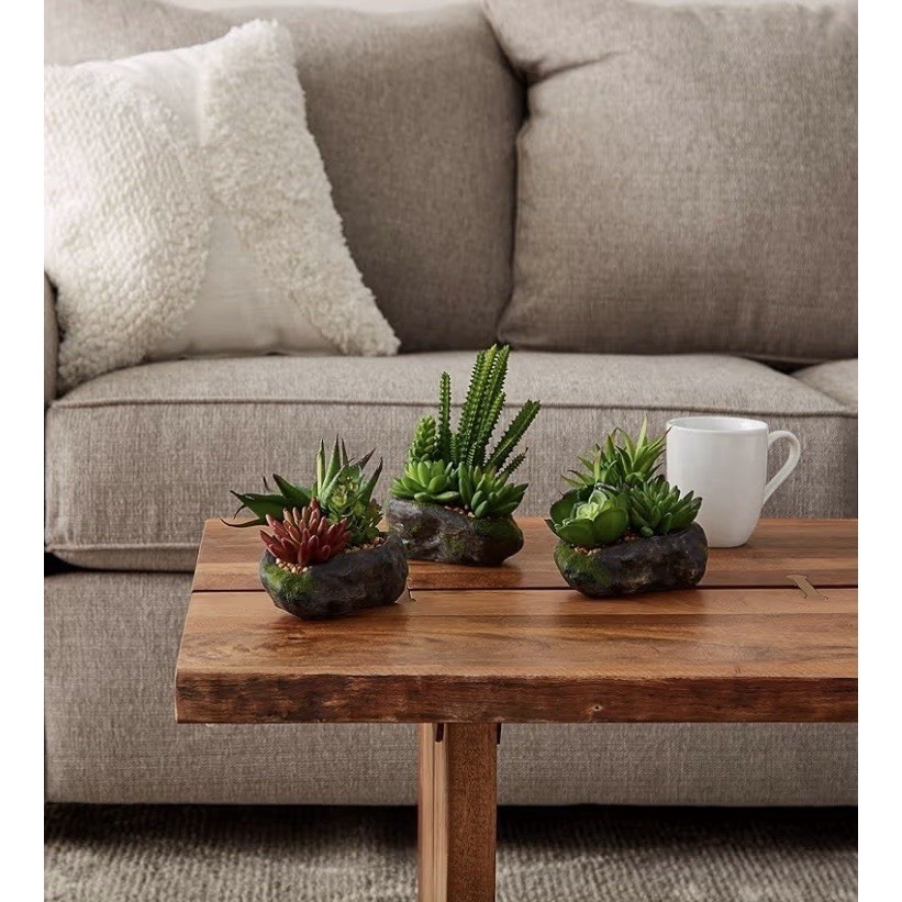 Pure Garden Artificial Succulent Plant Set 3 Piece Faux Stone Pots 50-LG1123