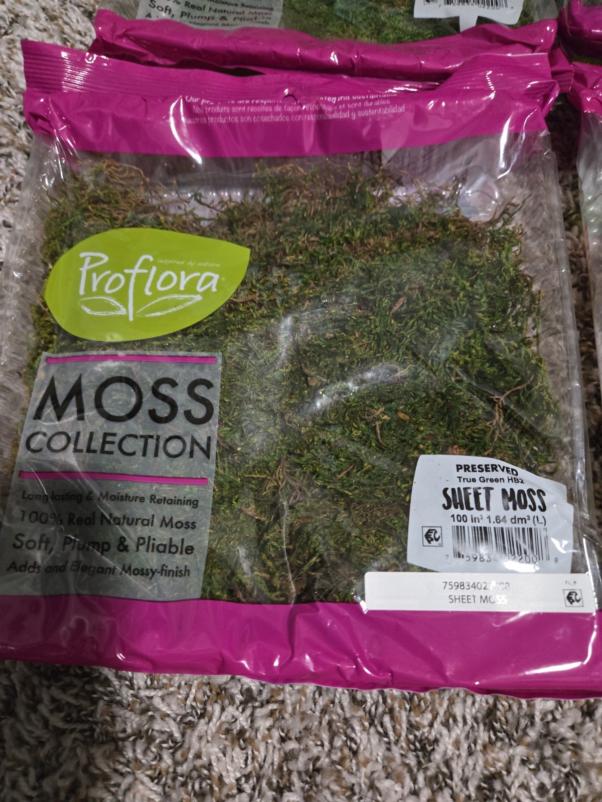 Proflora Preserved Sweet Moss Bundle Lot Of 4