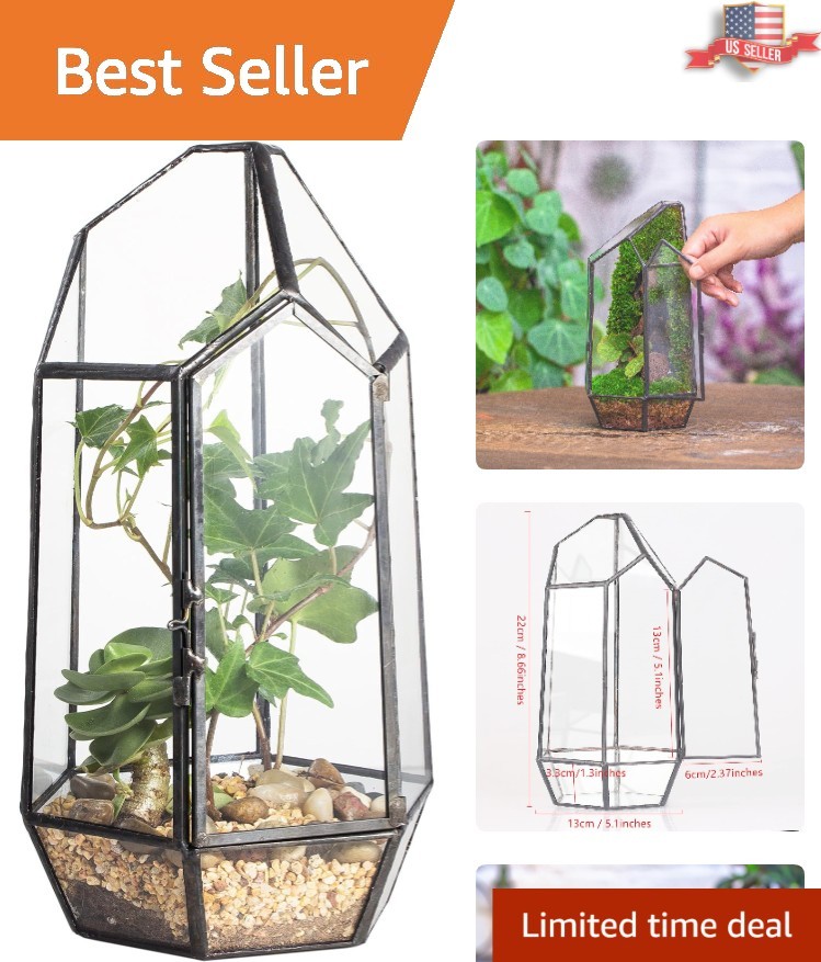 Compact Irregular Glass Terrarium Planter – 5.1” Indoor Decor for Moss & Fern