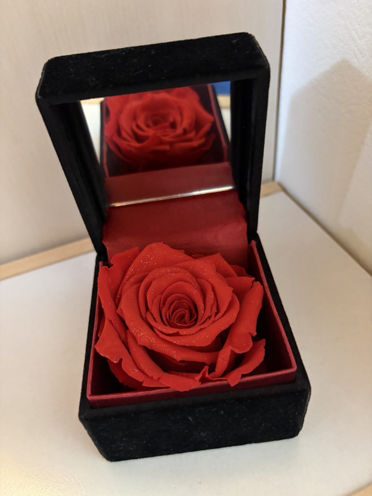 Real Preserved Flower Eternal Rose / Black Velvet Jewelry Box Case [Pre-owned]