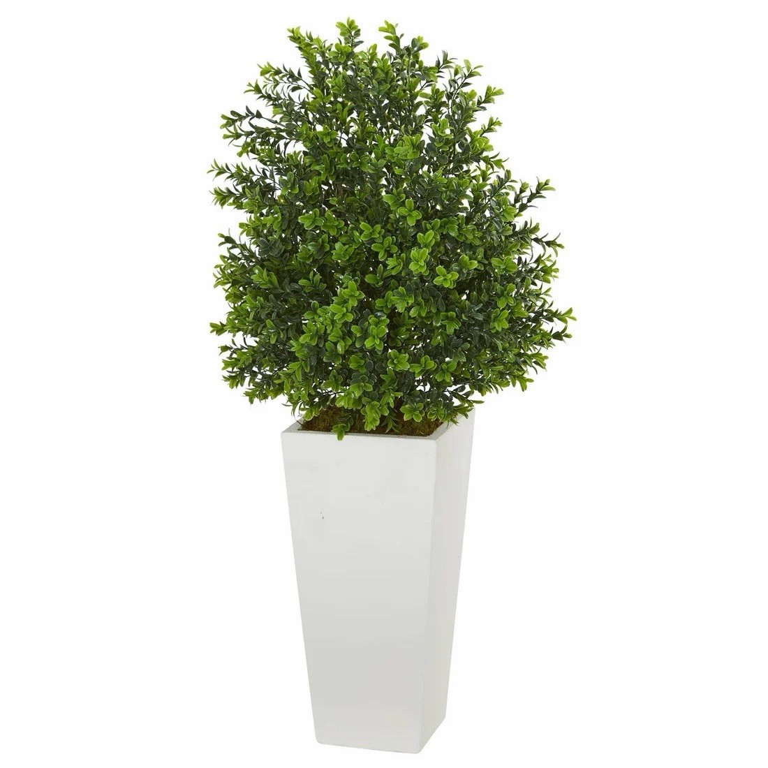 33” Artificial Boxwood Tree Houseplant in White Planter, Floral Decor