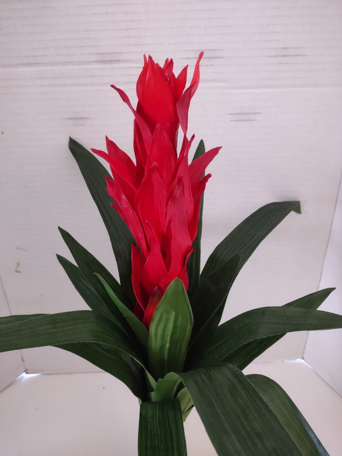 Artificial Bromeliad plant. silk flower floral arrangements