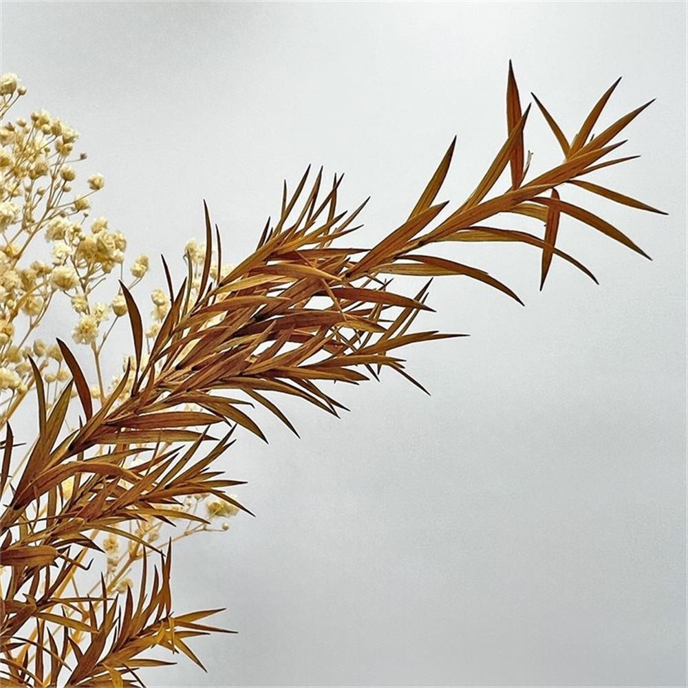 Pemberly Row 10-inch High Real Preserved Mixed Bouquets in Small Size