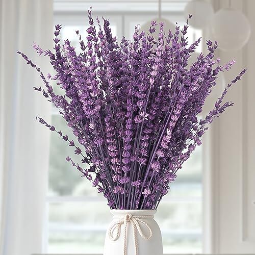 Dried Purple Lavender Flowers Bundle-Dried Preserved Lavender Purple-1.76oz