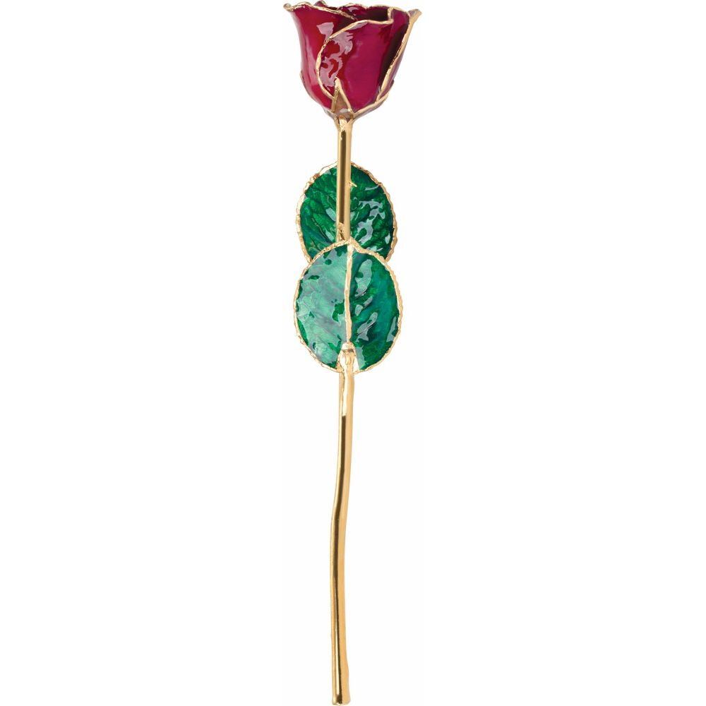 24k Gold Dipped Garnet Colored Lacquer Real Rose Valentine’s Day Holiday Gift