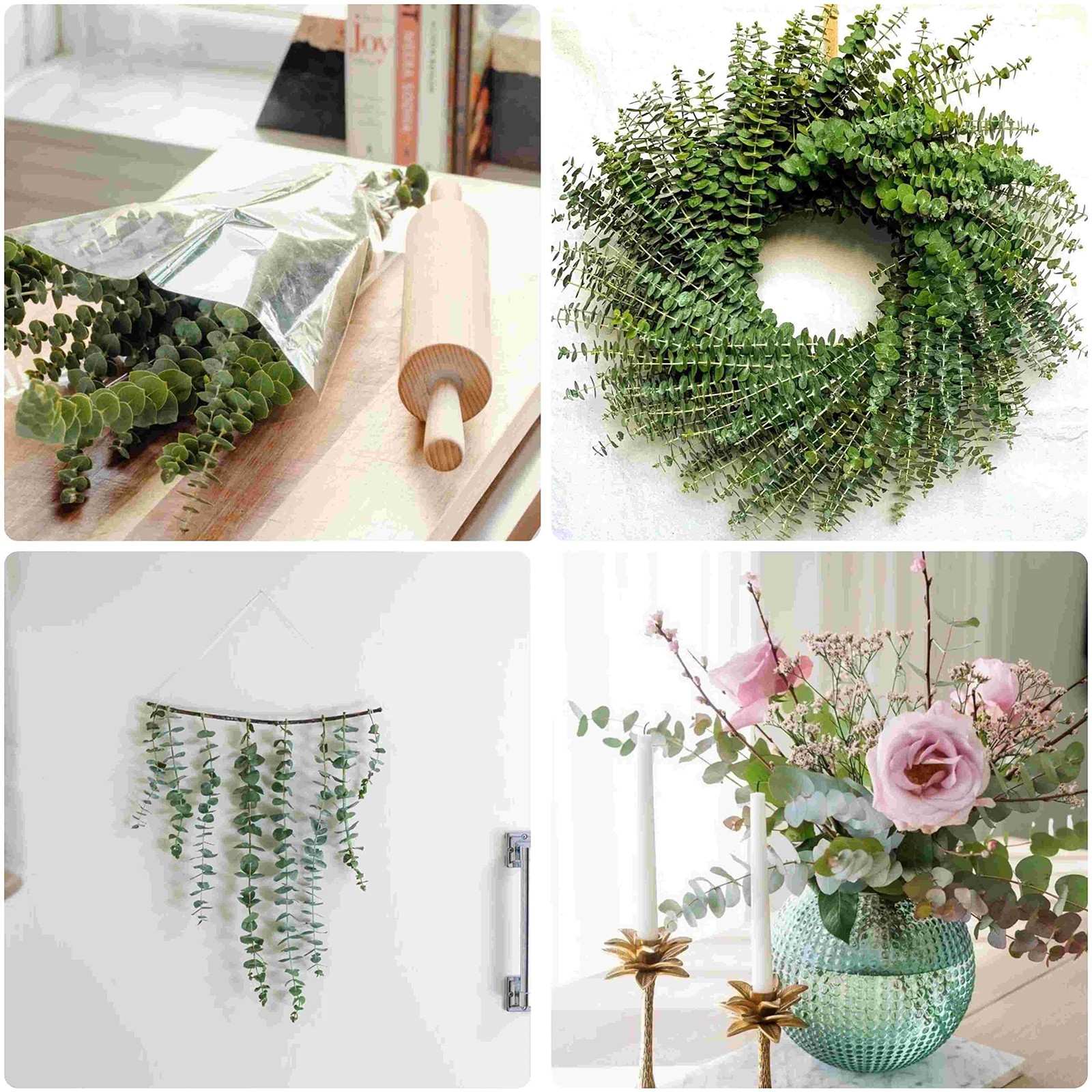 Dried Eucalyptus Stems 10Pcs 17″ Natural for Shower – Mint Fragrance Relaxation