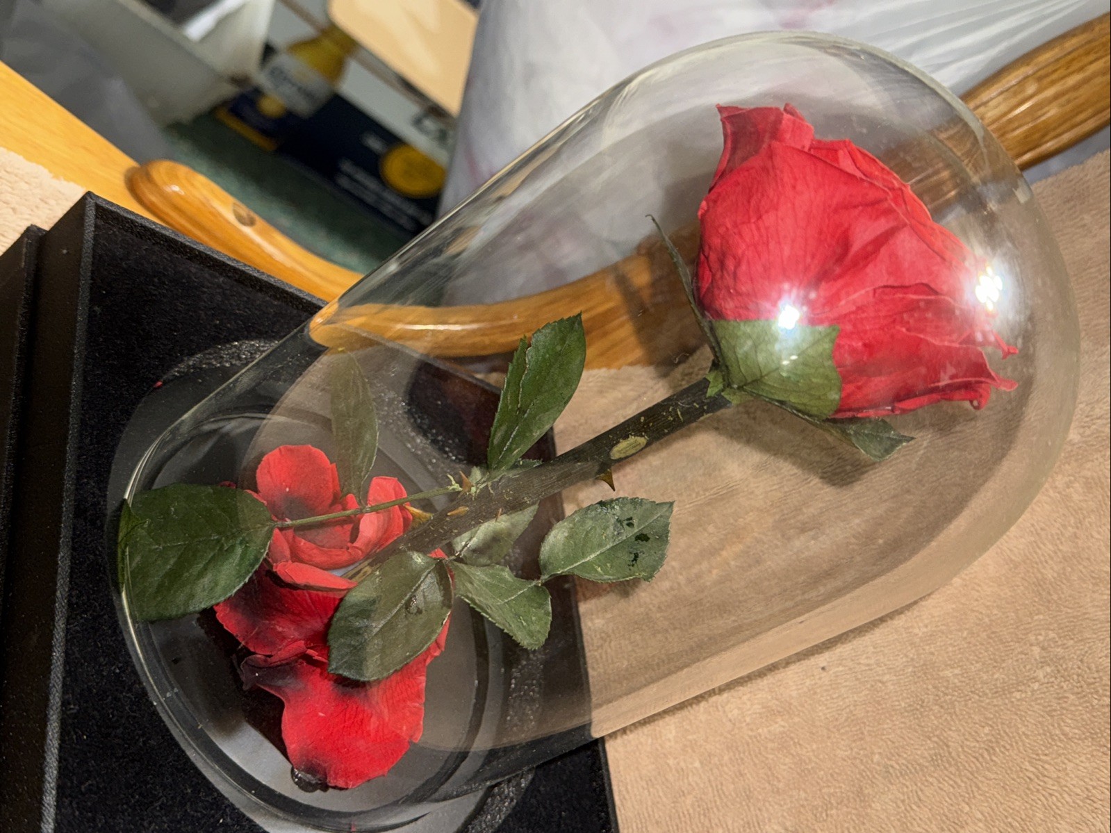 Forever Roses – Gifts Idea for Mom – Beauty and the Beast Rose in Glass Dome –