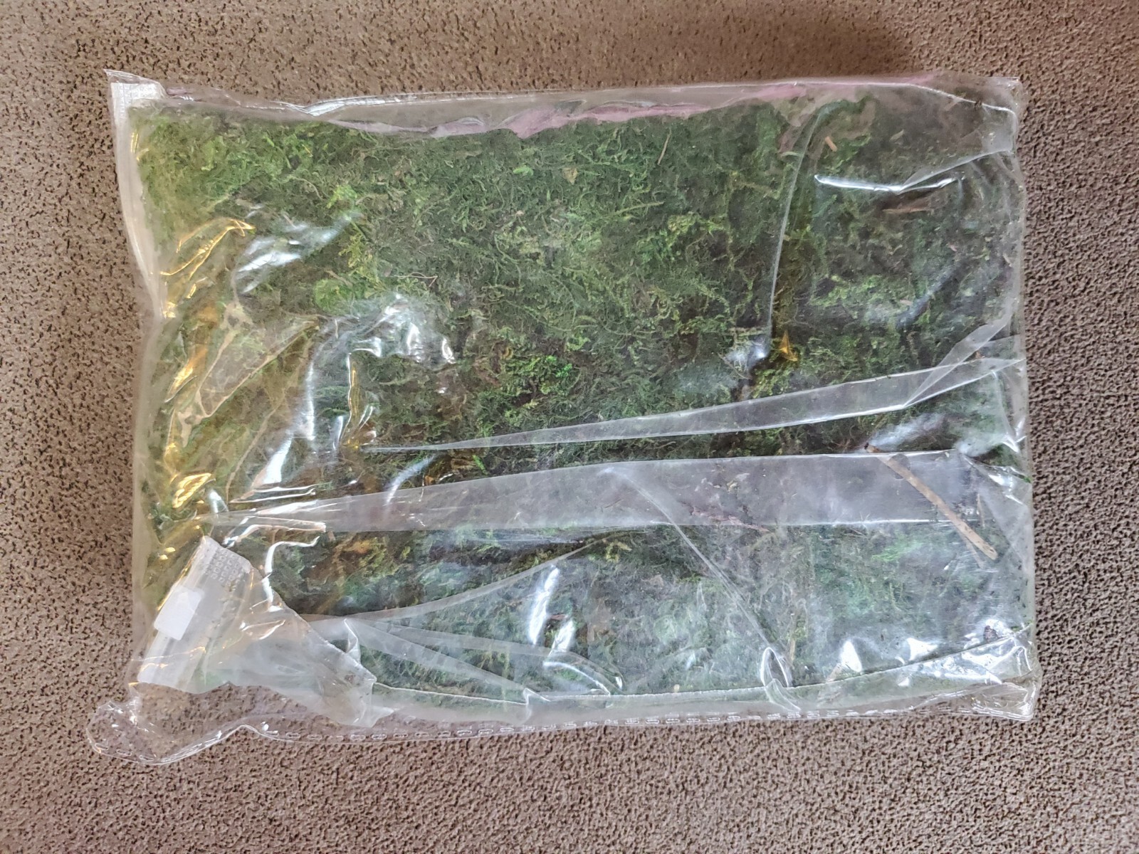 Fake Moss Preserved Reindeer Moss 3.5oz Dk. Green Arts and Crafts NEW