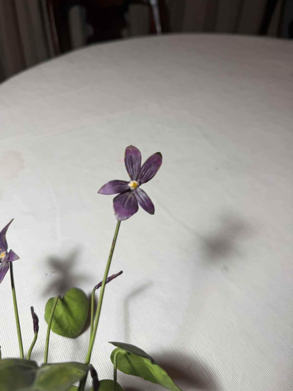 Gorgeous purple, violets, in metal Flower Arrangement – 8 x 8” wood vase