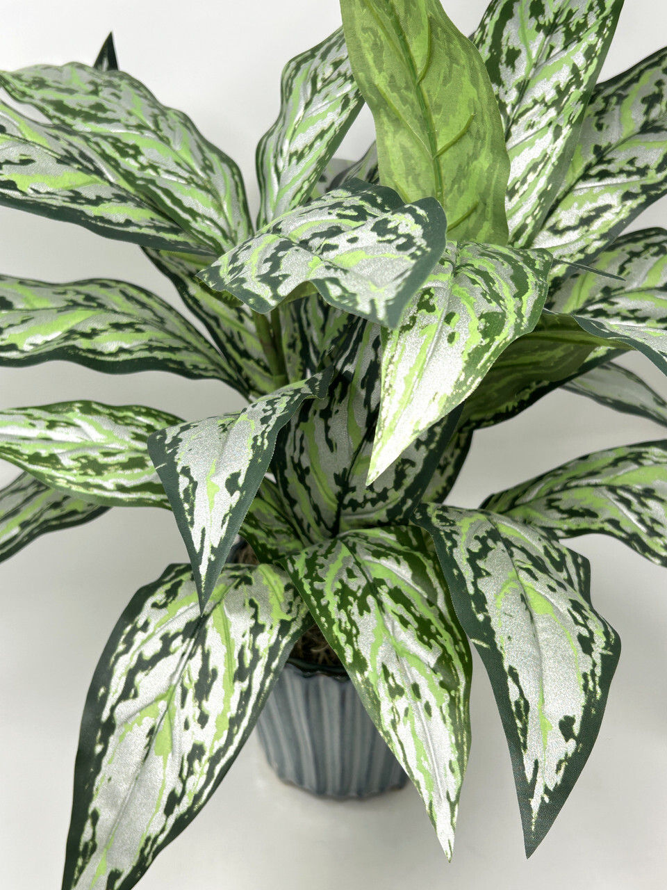 19″ Large SILVER QUEEN AGLAONEMA artificial silk Sword plant, 5.5″ Blue Ceramic