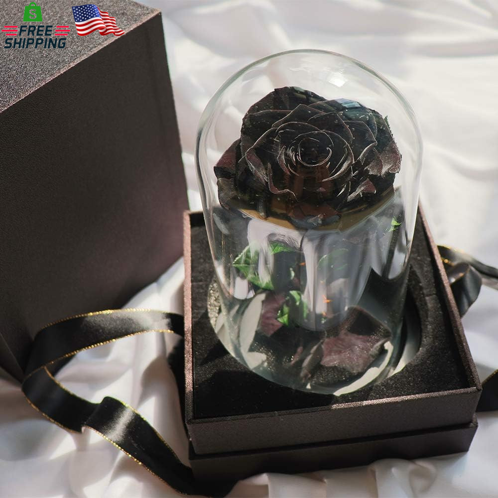 Preserved Roses Black Roses in Glass Dome, Medium, Preserved Flowers for Women