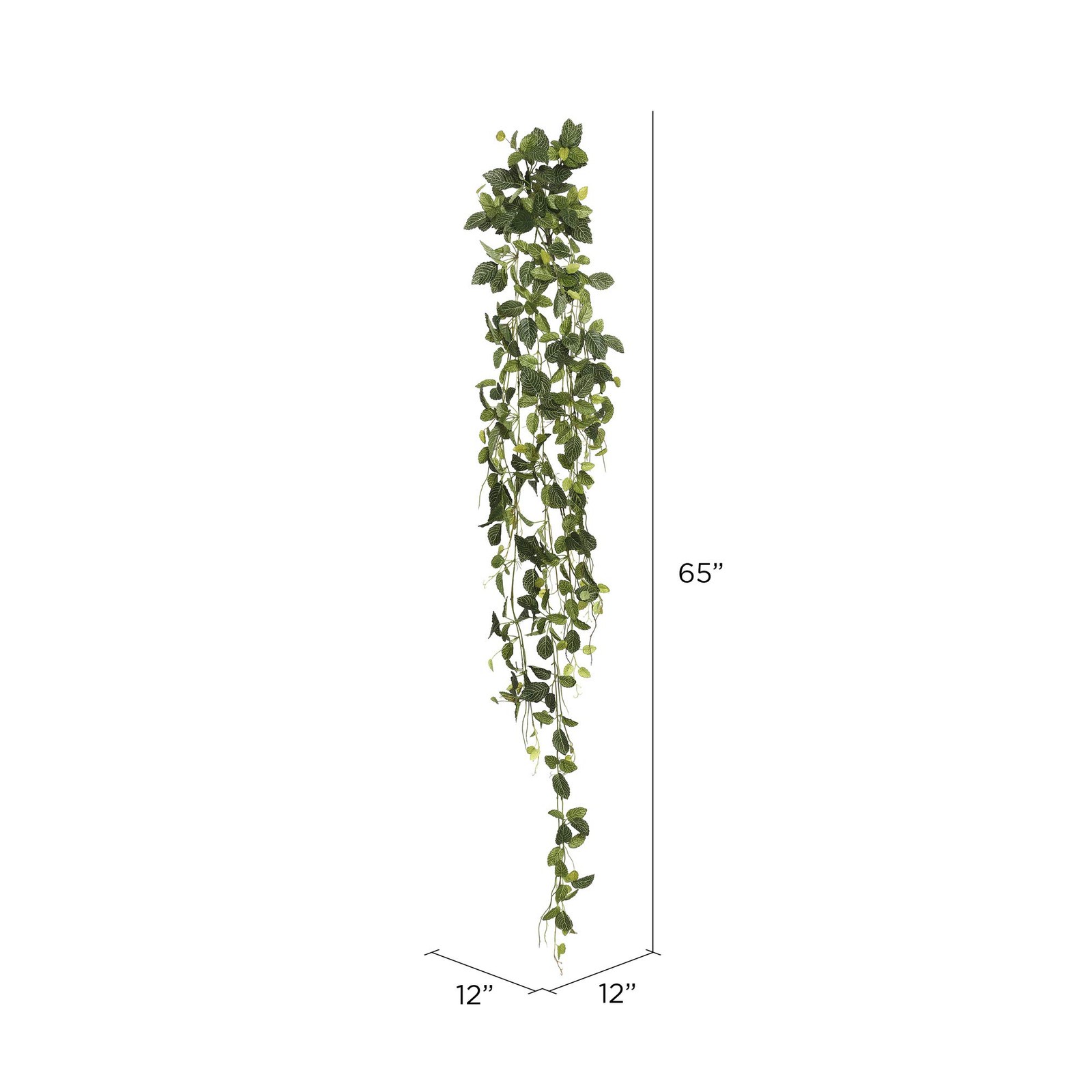 Vickerman 65″ Contemporary Fabric Artificial Fittonia Hanging Bush in Green
