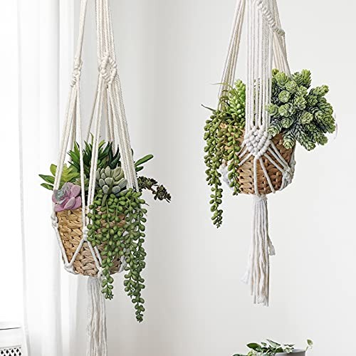 22 Pcs Bulk Artificial Succulents Plants Unpotted Small Aloe Hanging String
