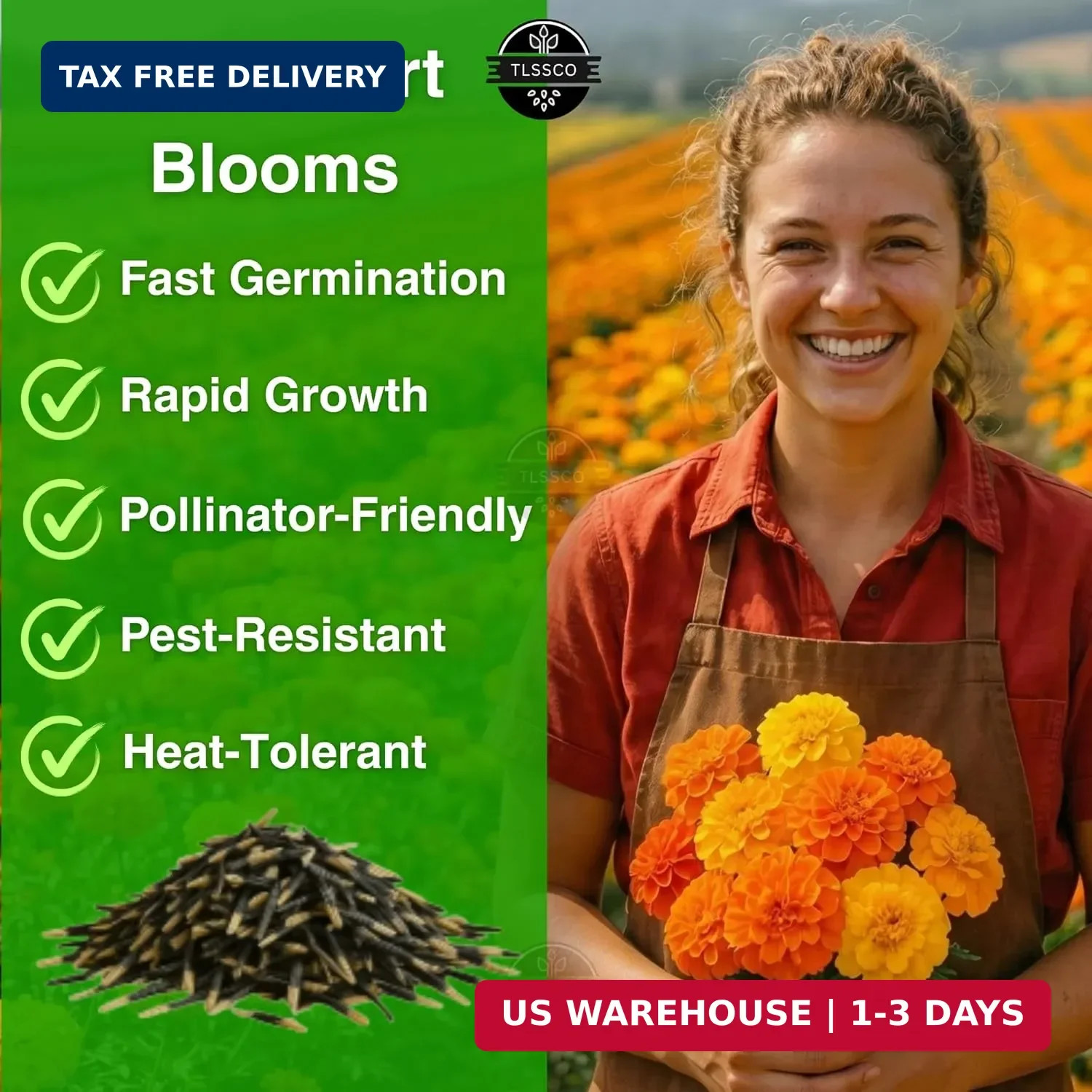 1450+ French Petite Marigold Seeds, Pack for 2026 USA Premium Multi