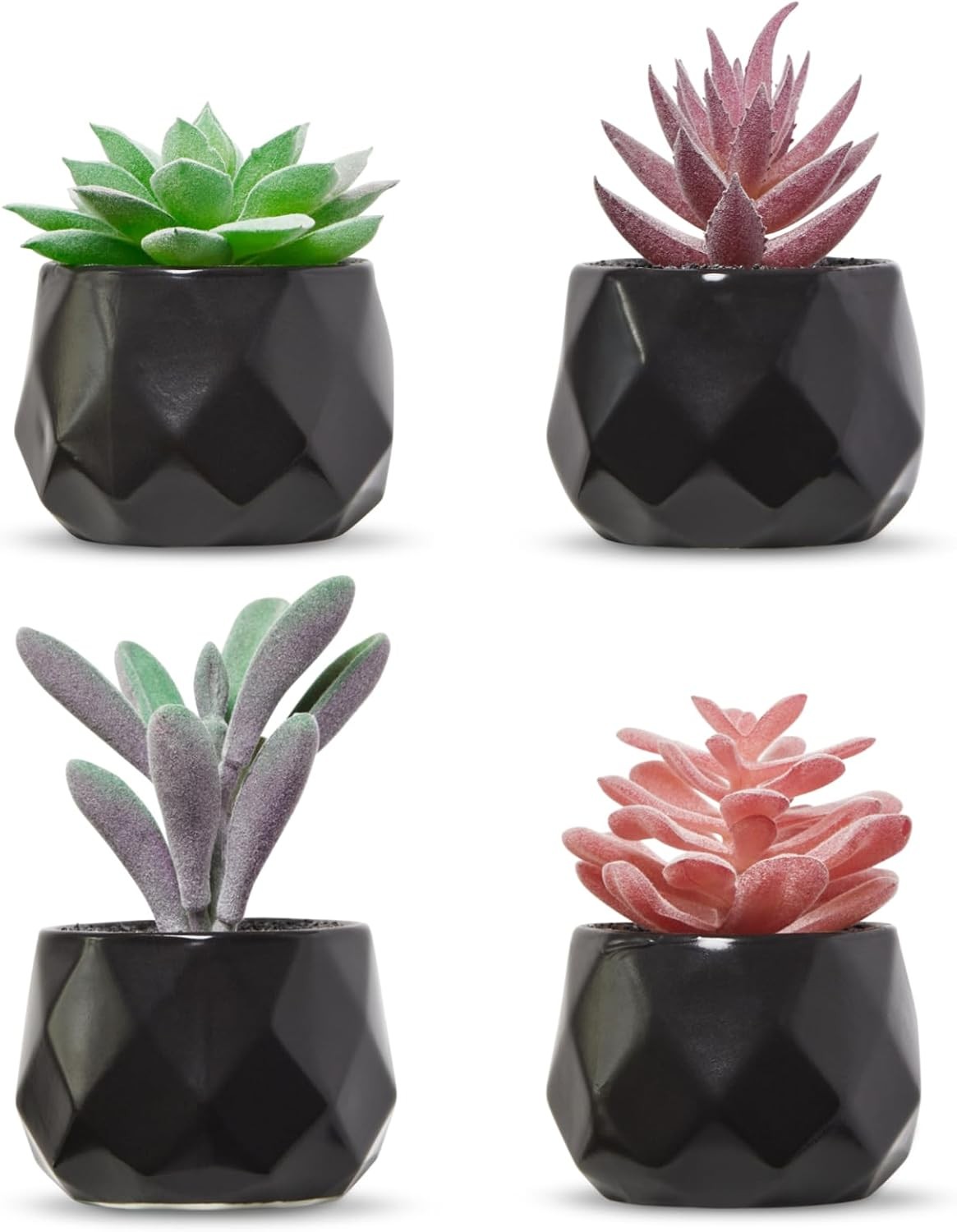 Nordik Set of 4 Desk Plants – Geometric Round Black Pots – Perfect for Bathroom,