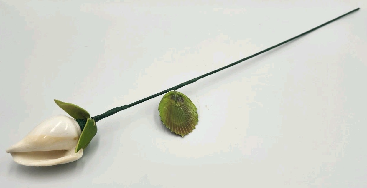 Seashell Hand Painted Long Stem Rose Buds Set of 6