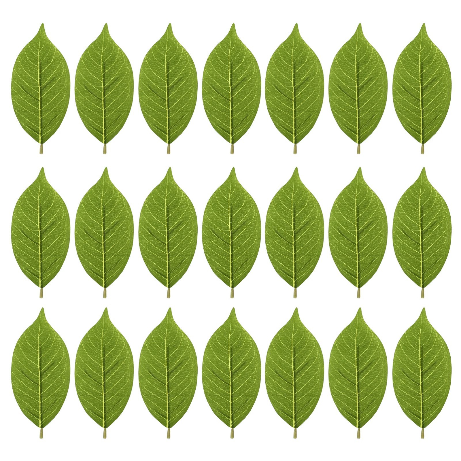 50 Pcs Fake Magnolia Leaves Artificial Green Plant Leaves for Home Decor Wedd…