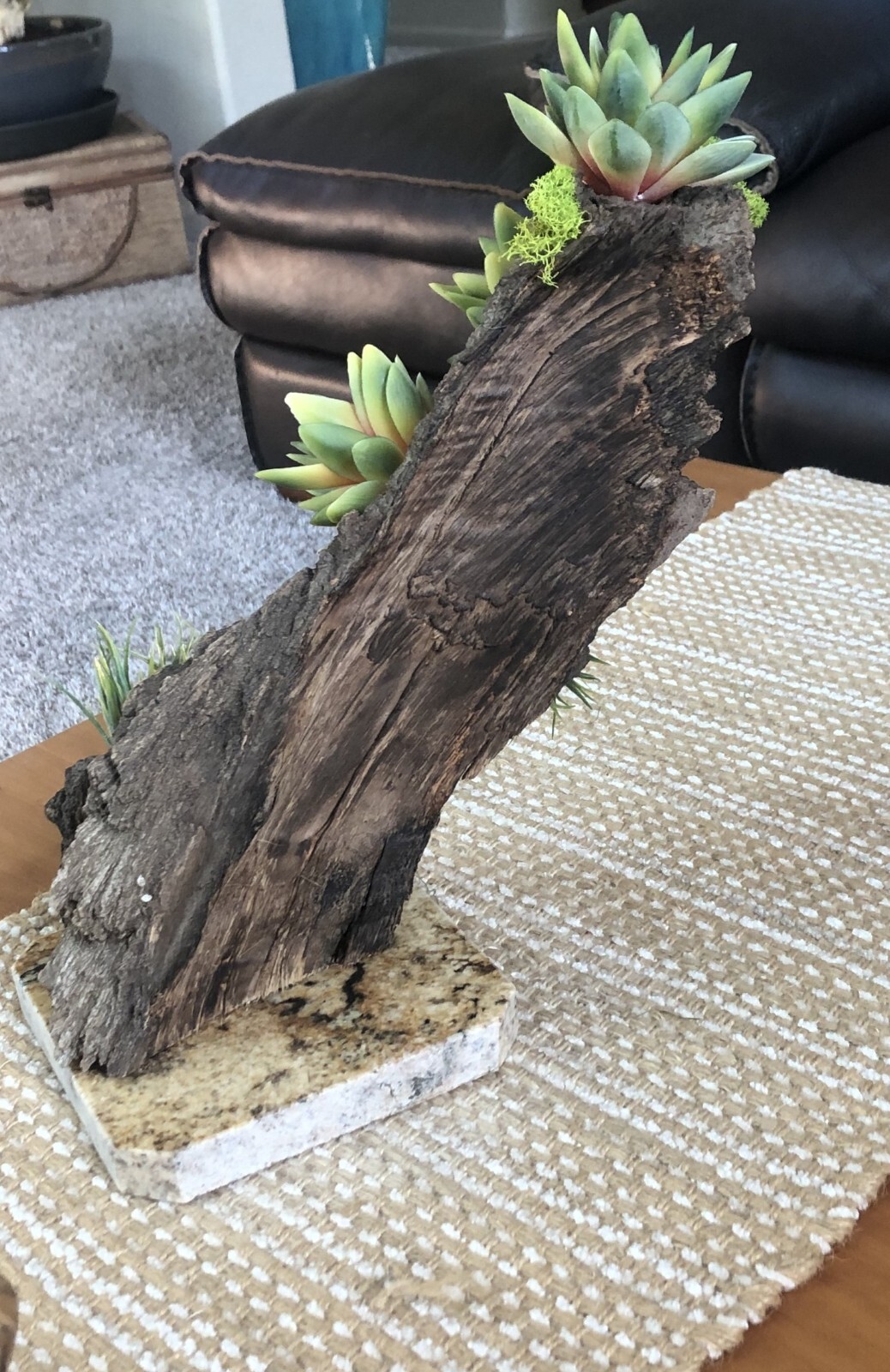 Artificial Succulent Air Plant Home Office Mounted on Real Wood Bark and Stone