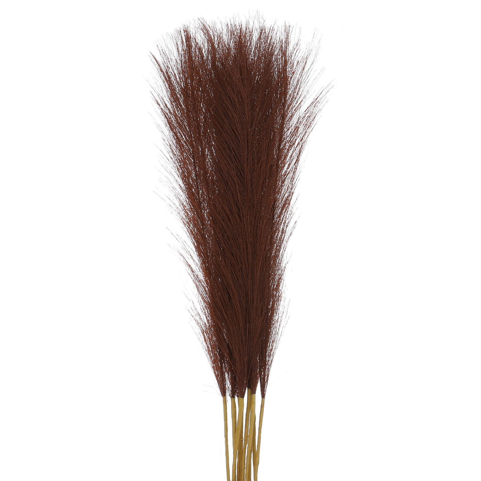 10 Pcs Dark Coffee Pampas Artificial Grass 21″ Fake Pampas