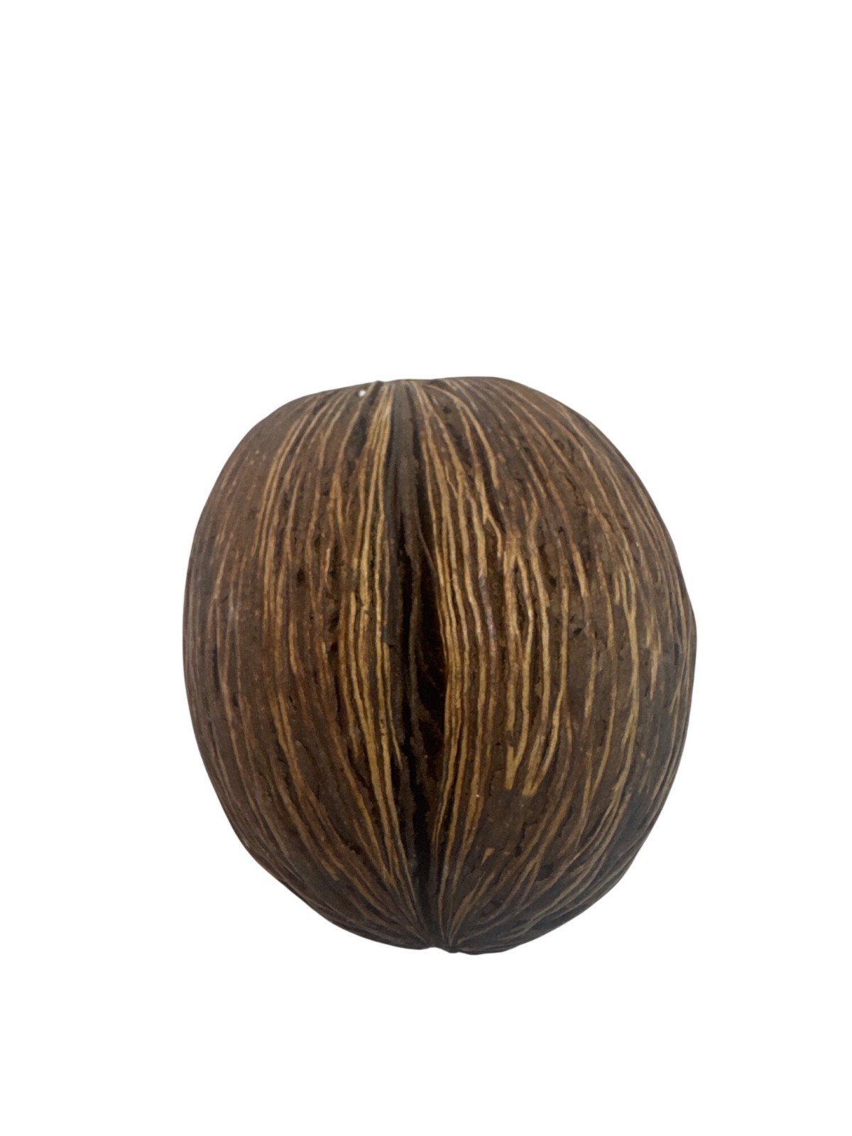 Decorative Natural Dried Brown Seed Pods Textured Set Of 5 Rustic Bowl Filler