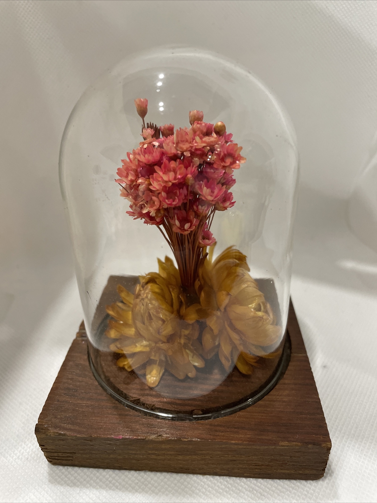 Vintage Leonard Creations California Dried Flower Glass Dome on Wood Base