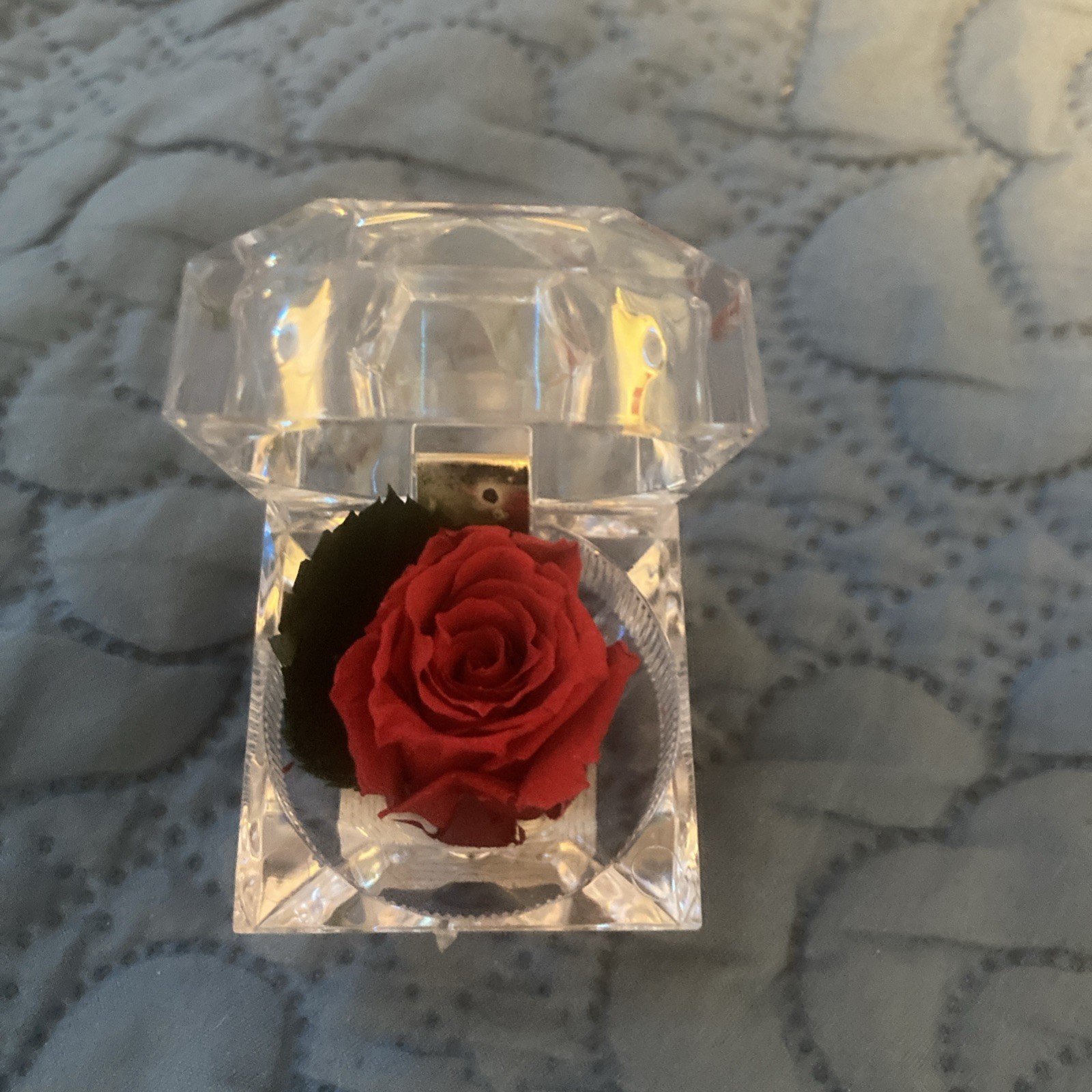 Verdissimo Preserved Eternity Forever Red Rose In Ring Box Valentine