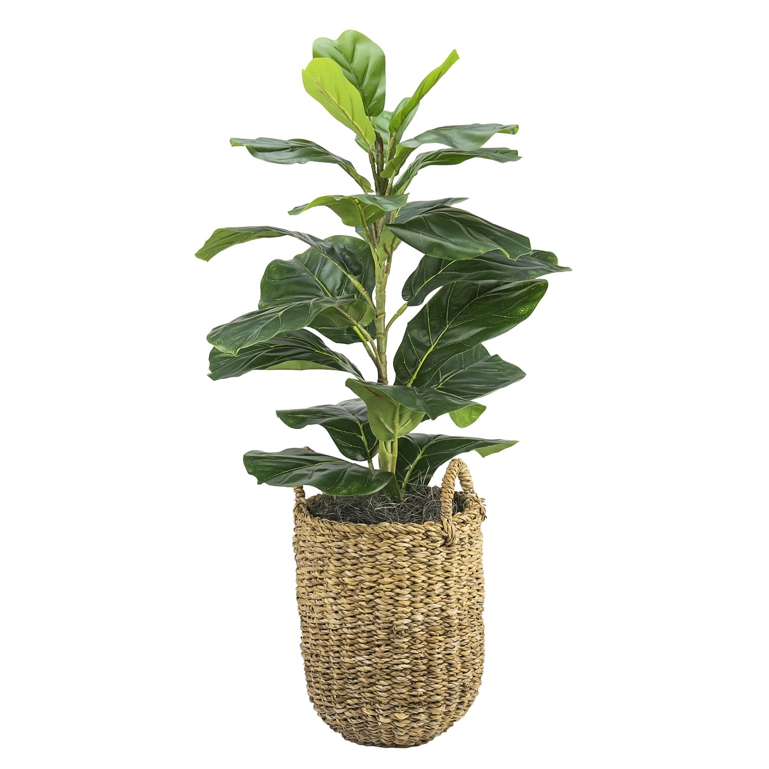 Artificial Plant, 2.5 ft Artificial Fig Plant in Handwoven Basket by LCG Florals