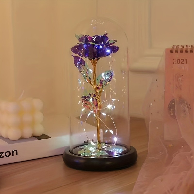 Valentine’s Day Gift for Girlfriend, Eternal Rose LED Foil Flower On Glass Cover