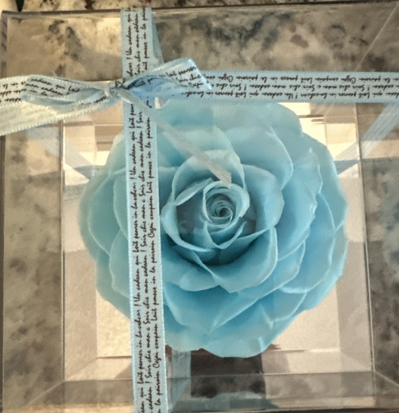 Eternal Rose Gift for Women, Preserved Real Forever Rose Flowers in Clear Case