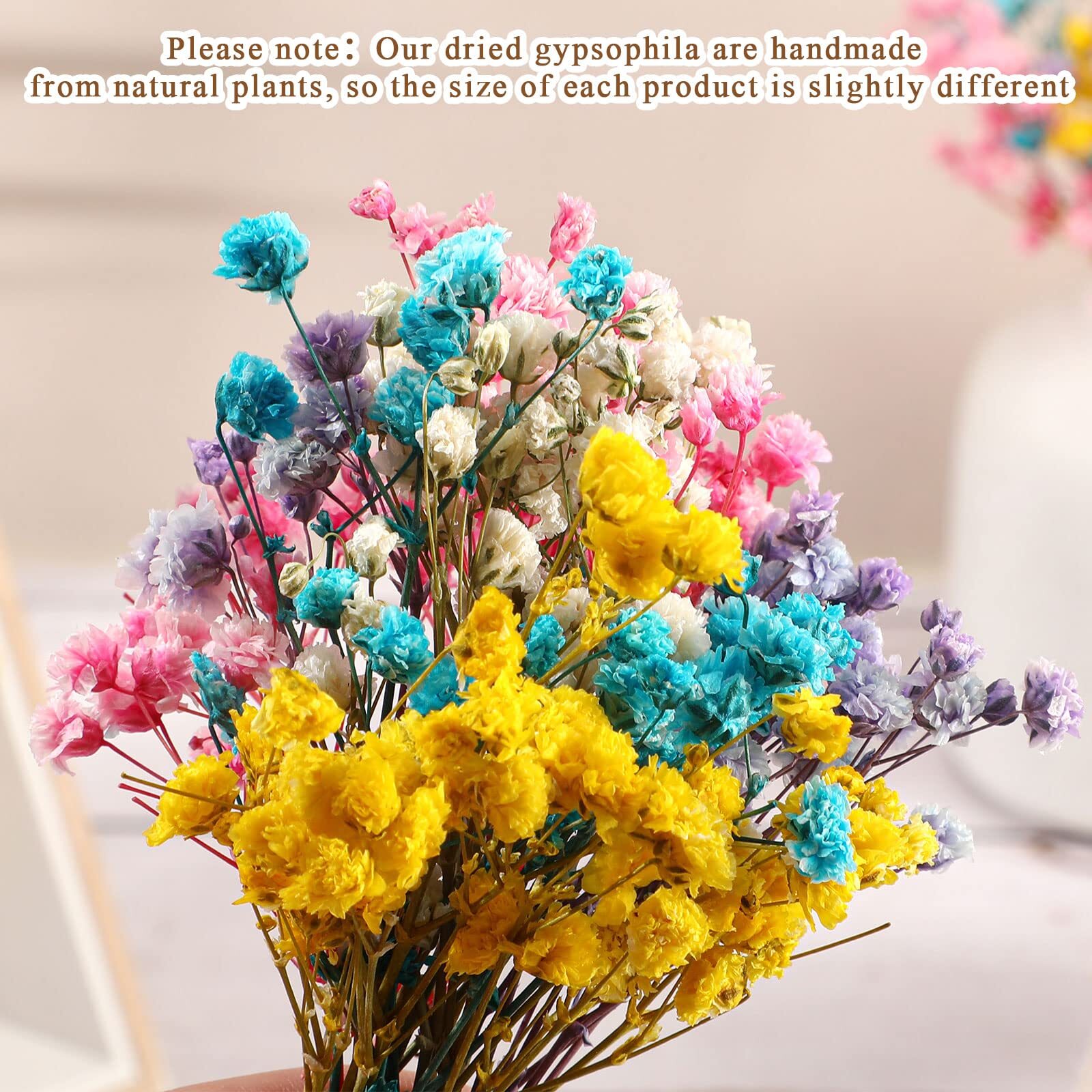 100 Pcs Mini Dried Baby Breath Flowers Gypsophila Ivory Mixed Color Flowers D…