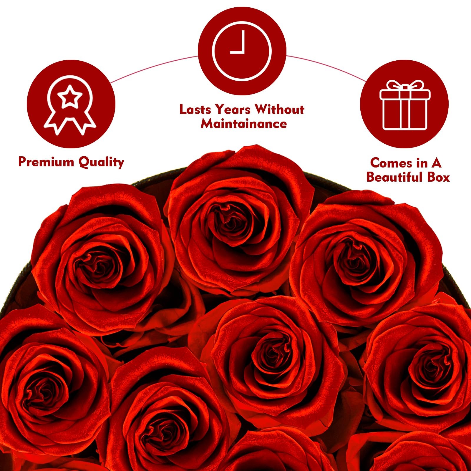 Forever Flowers 12 Red Roses In A Box Real Preserved Roses Birthday Gift Red