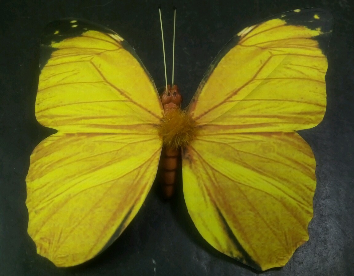 6 BUTTERFLIES 3D PAPER YELLOW REALISTIC CLIP ON DECORATIVE FLORAL HOME DECOR