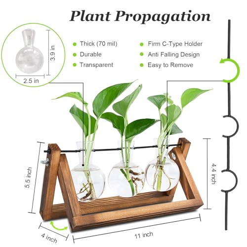 Plant Propagation Station, Plant Terrarium with Wooden Stand, Unique Gardening